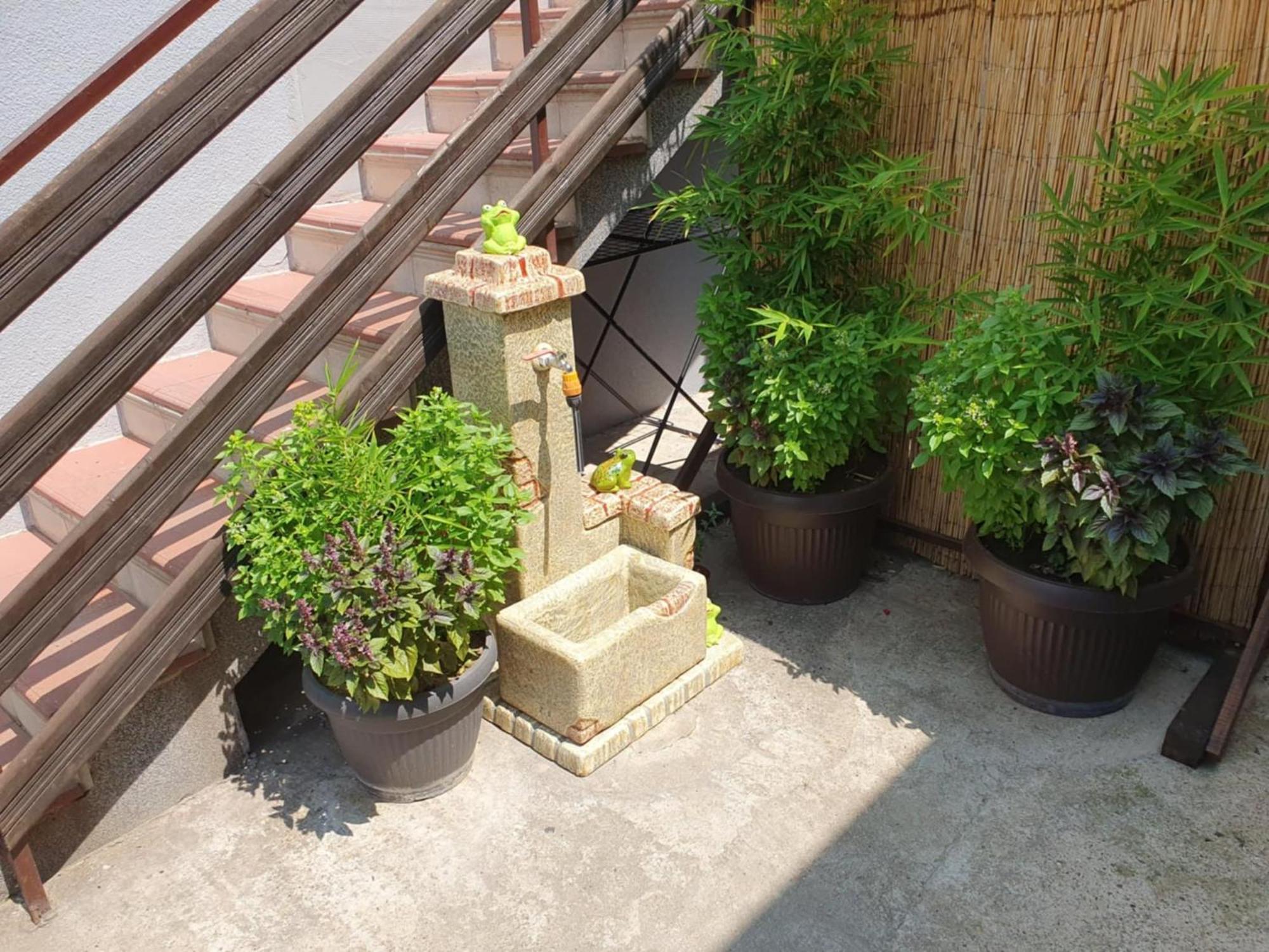 Apartman Djokic 2 Pozarevac Ngoại thất bức ảnh